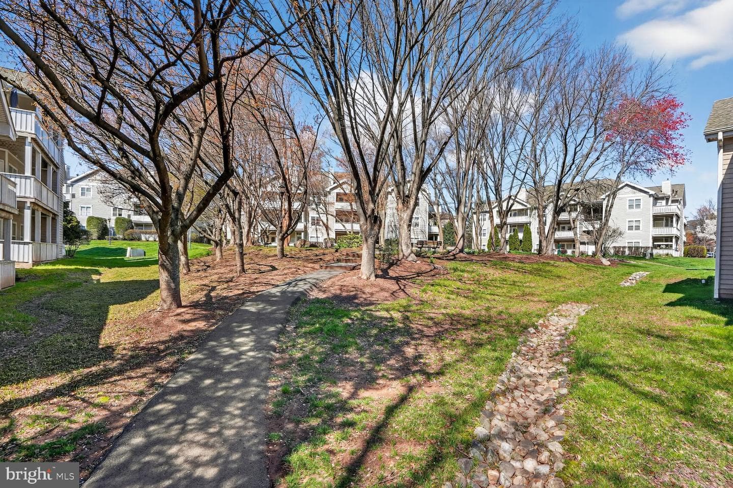 14322 Climbing Rose Way #306 photo 34