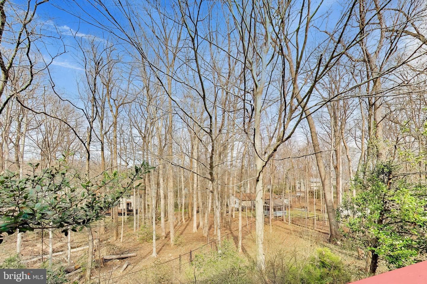 9321 Hobart Court photo 47