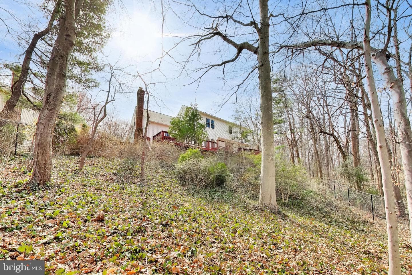 9321 Hobart Court photo 52
