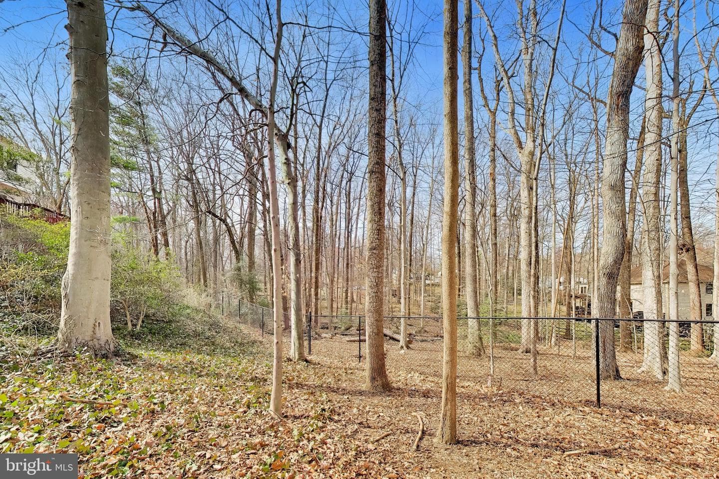 9321 Hobart Court photo 53