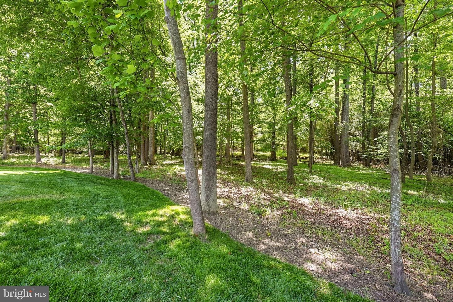 12804 Rose Grove Drive photo 101