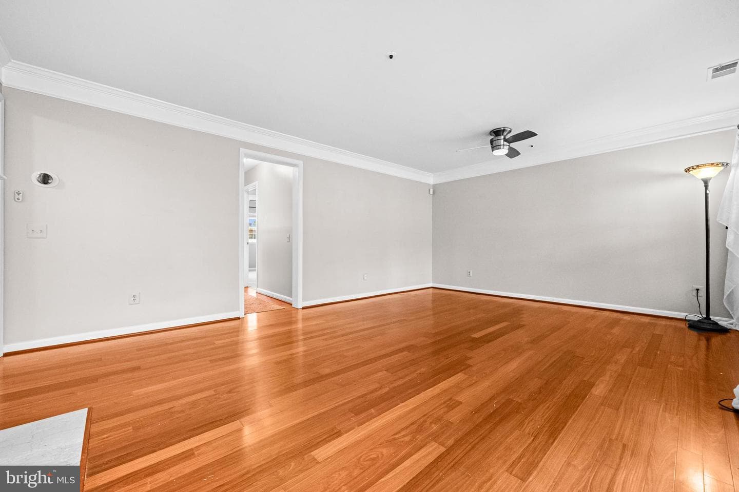 2800 Emma Lee Street #101 photo 8