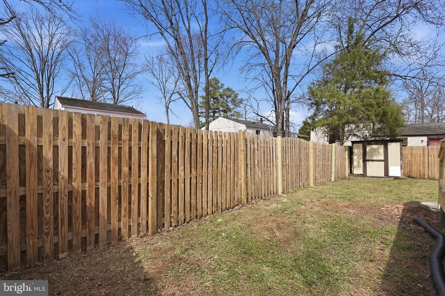 12302 Scotch Bonnet Court photo 35