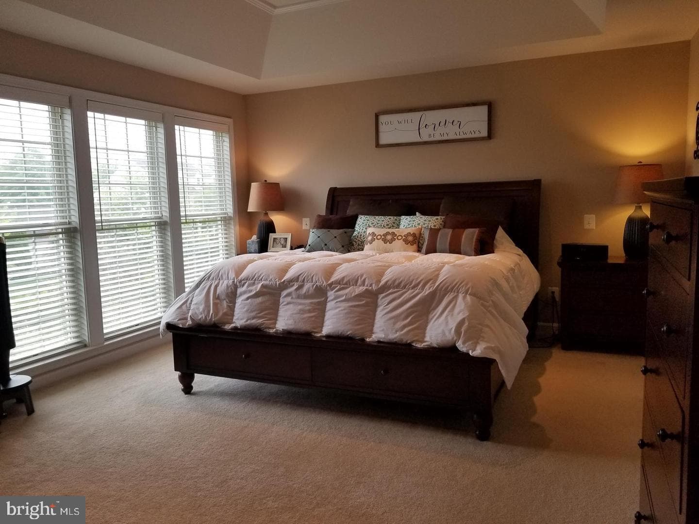 8171 Douglas Fir Drive photo 3