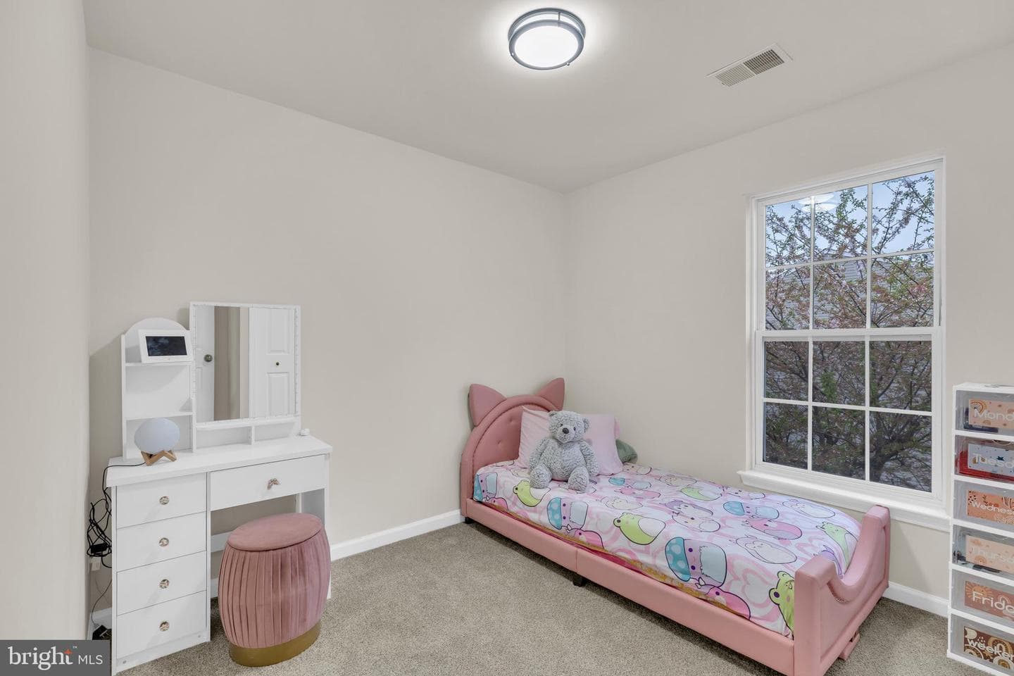 2579 Sutters Mill Drive photo 23