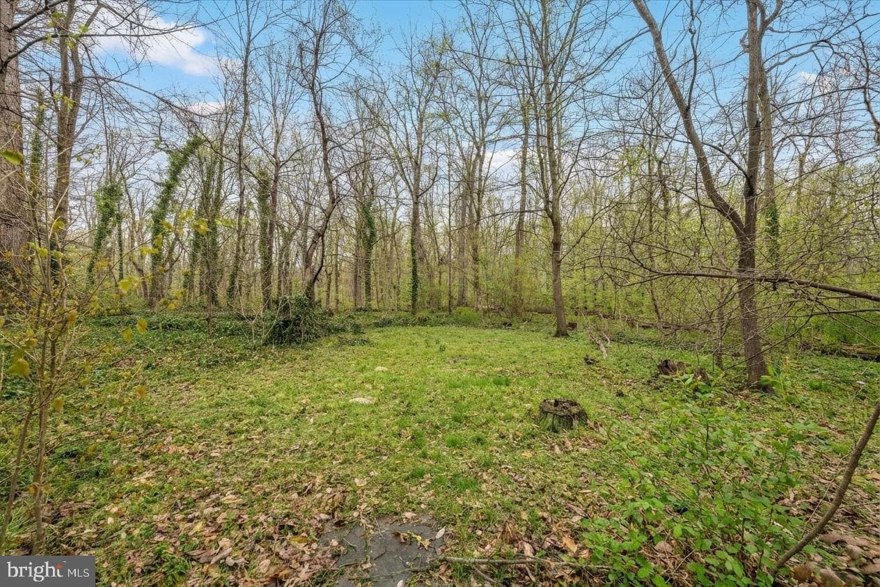 7009 Quander Road photo 51