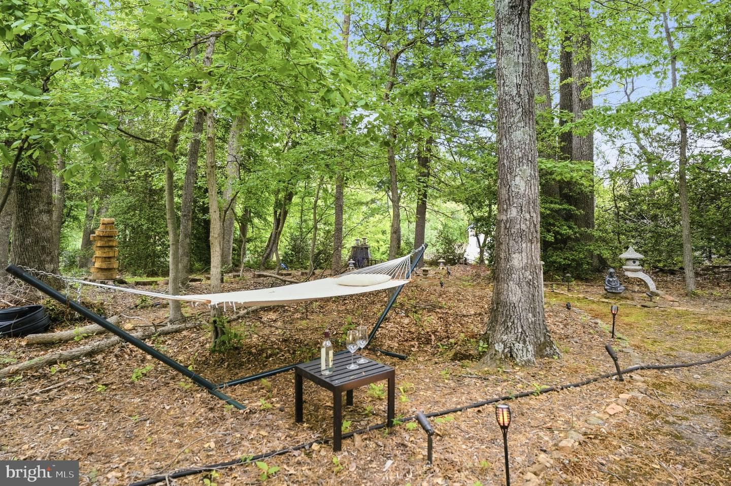 2207 Aryness Drive photo 66