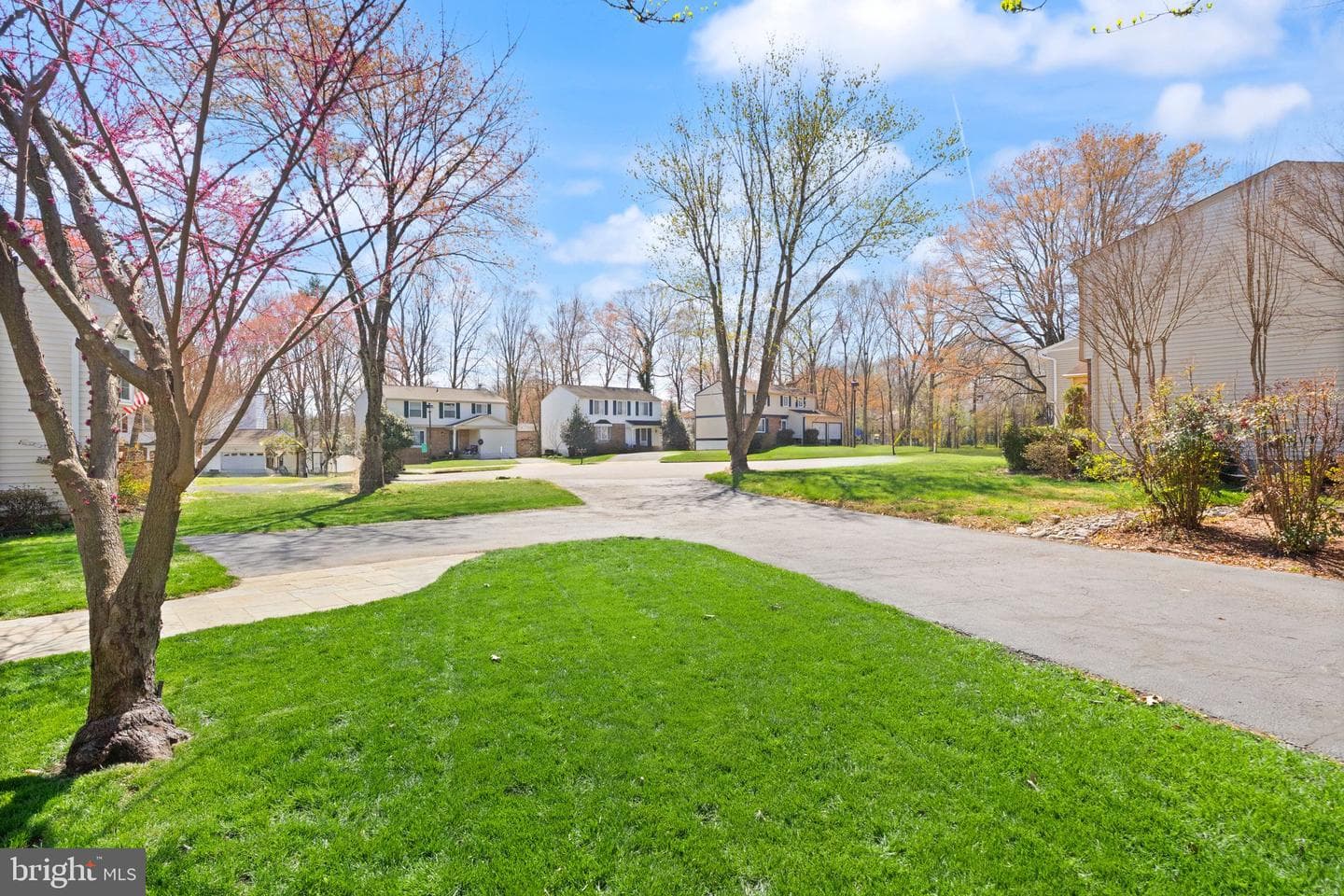 8282 Morning Dew Court photo 8