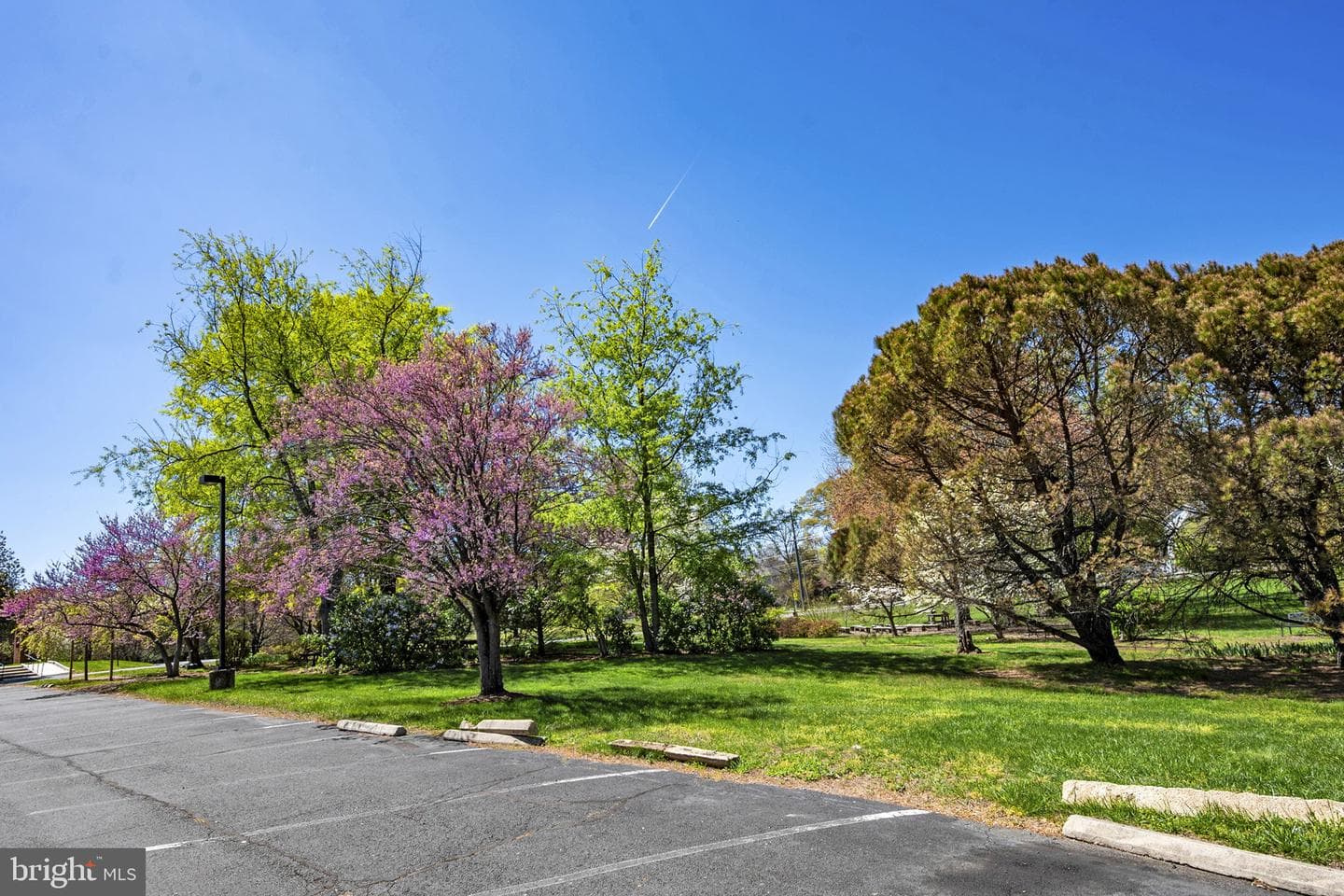 517 Florida Avenue #t4 photo 43