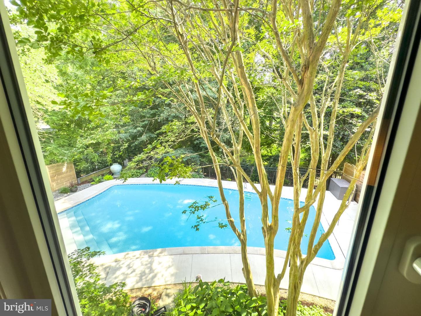 11817 Blue Spruce Road photo 50
