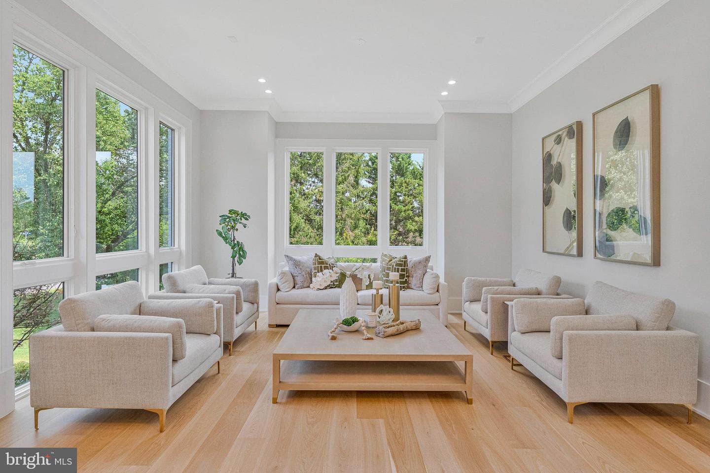 7007 Hector Road photo 4