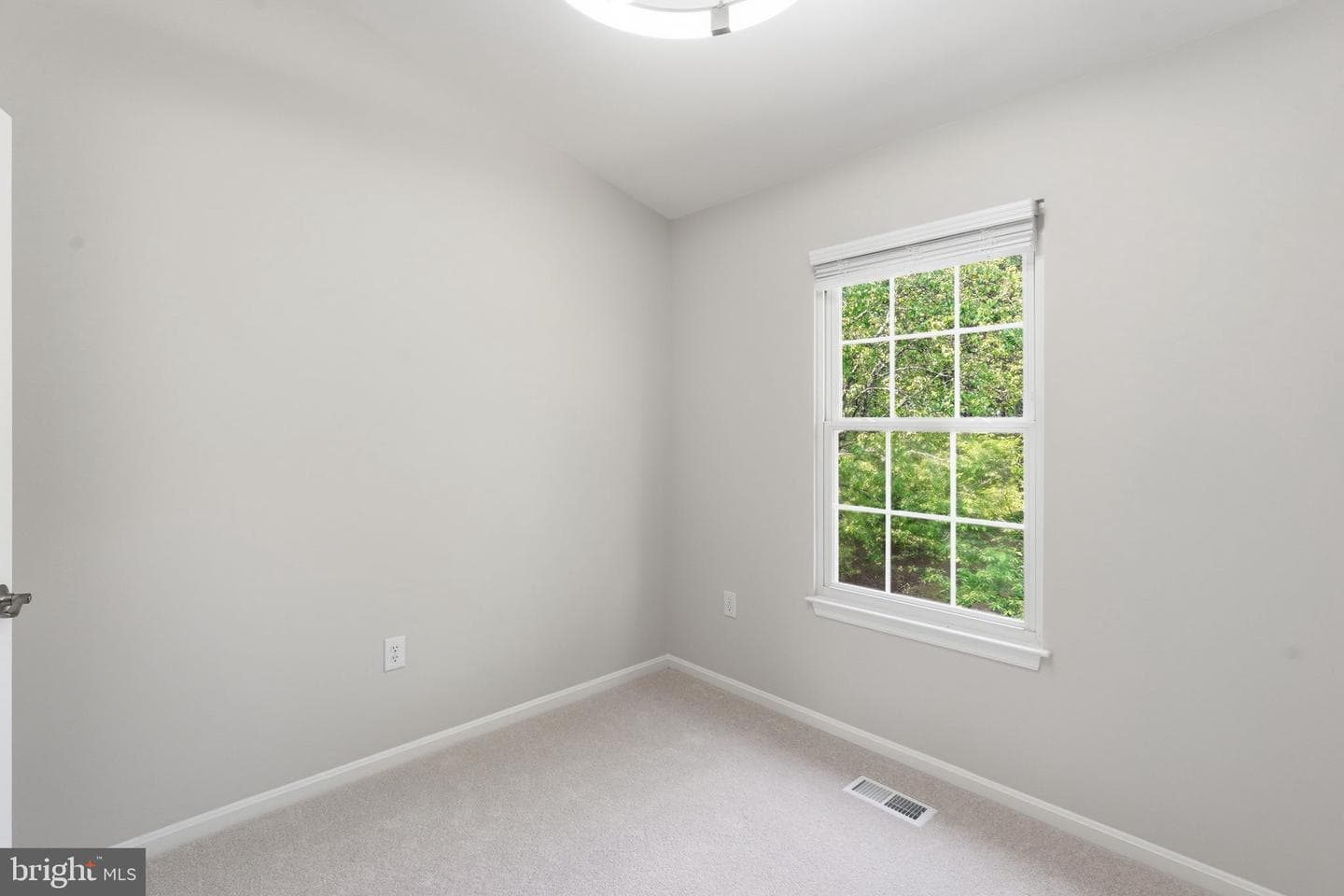 7808 Solomon Seal Drive photo 22