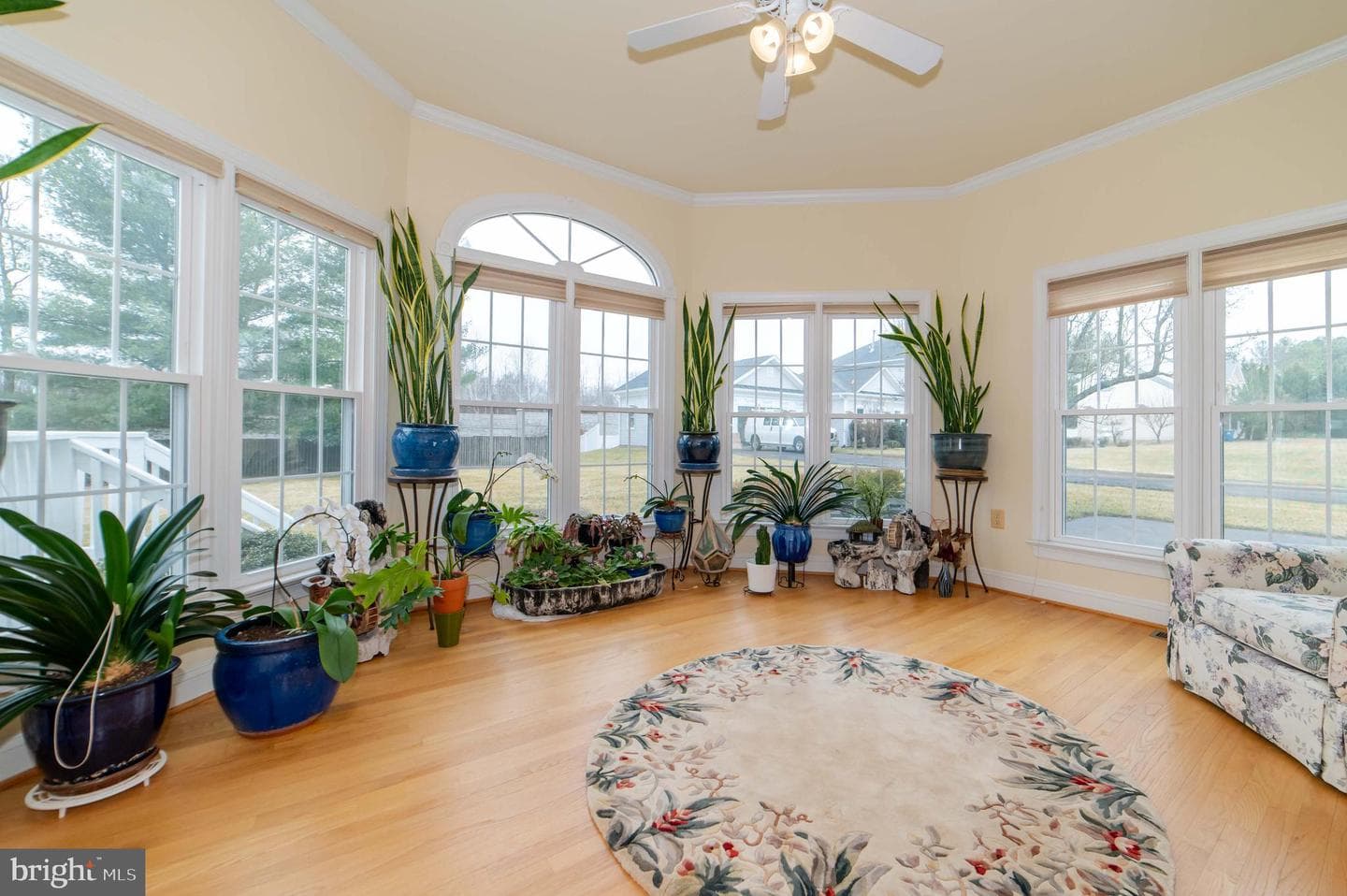 10805 Piney Pond Drive photo 36