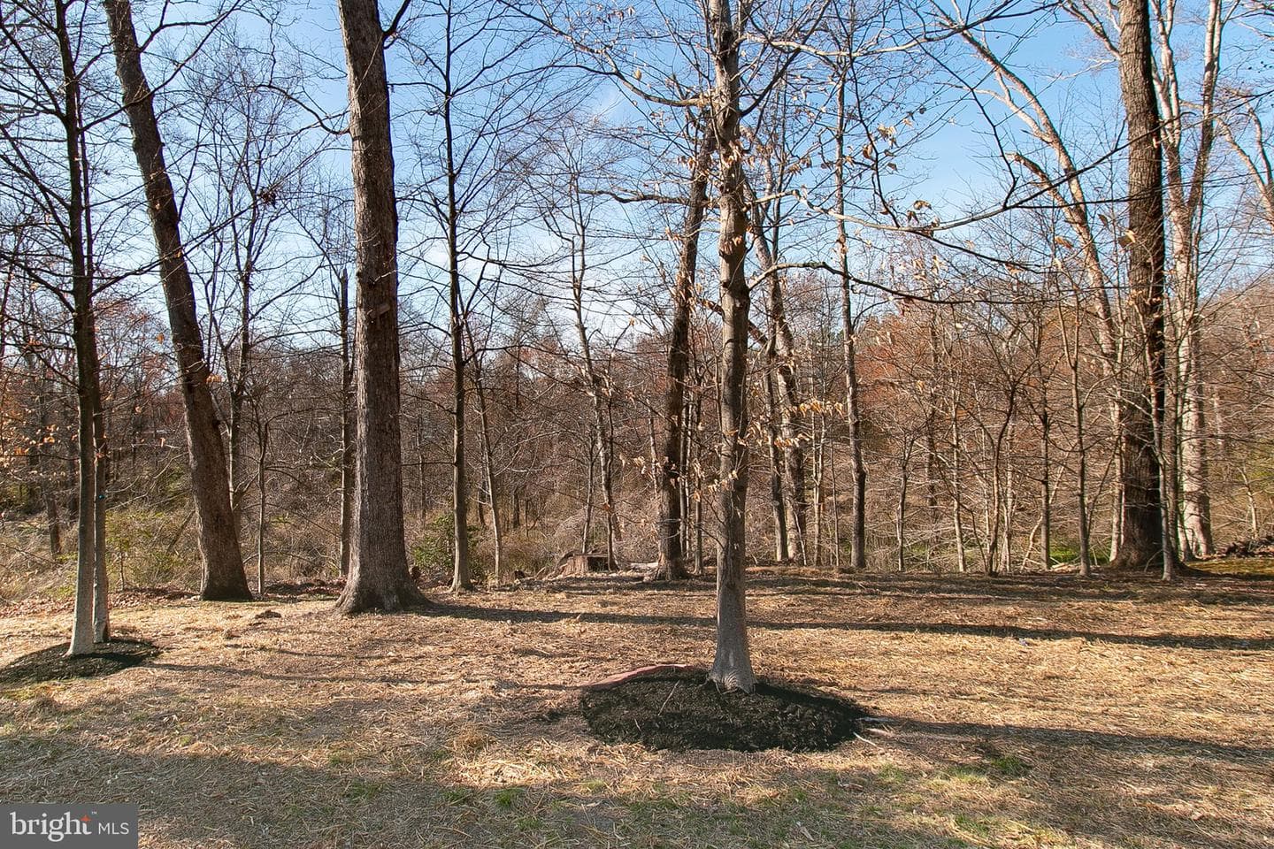 2308 William And Mary Drive photo 33