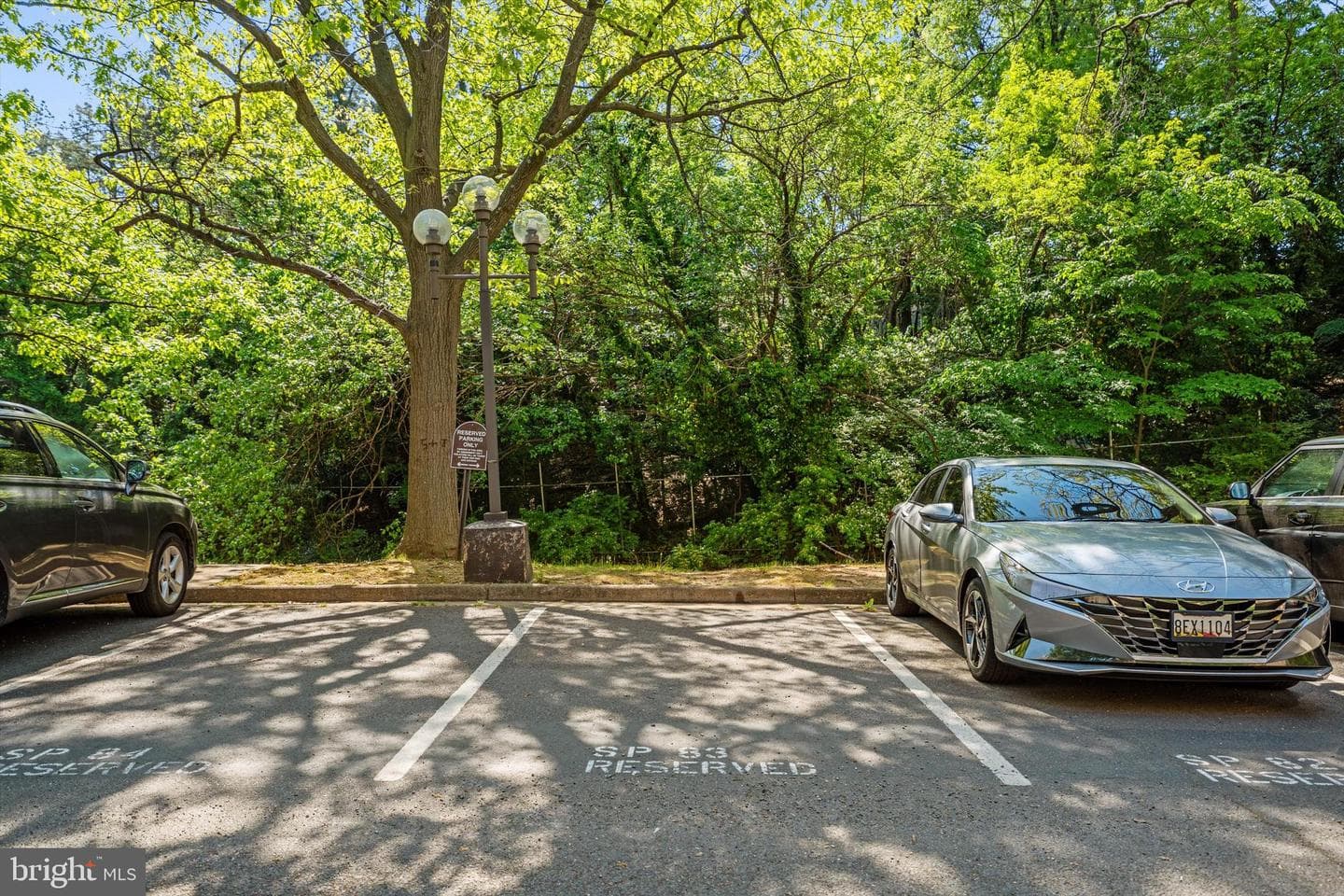3709 S George Mason Drive #1107 East photo 15