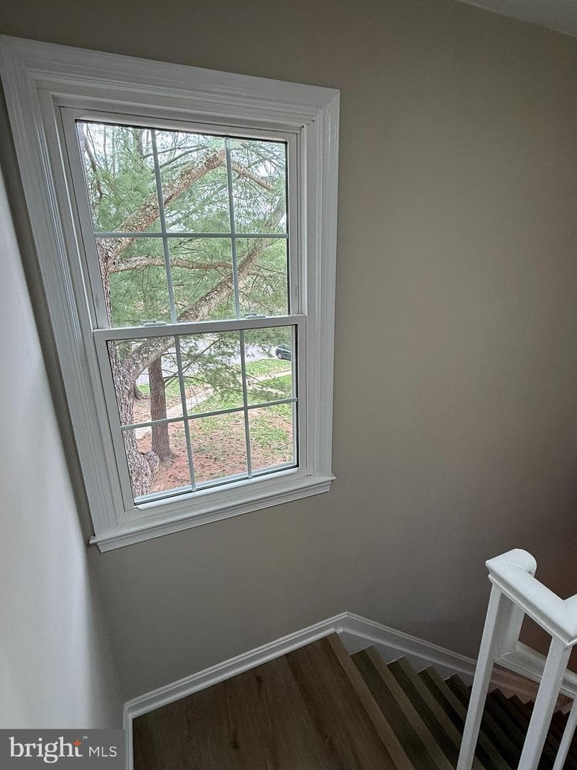 7753 Shootingstar Drive photo 44