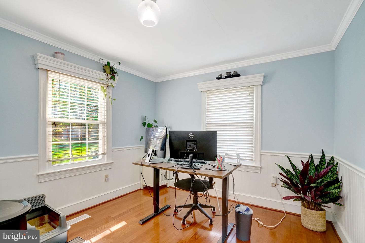 4913 Grafton Street photo 22