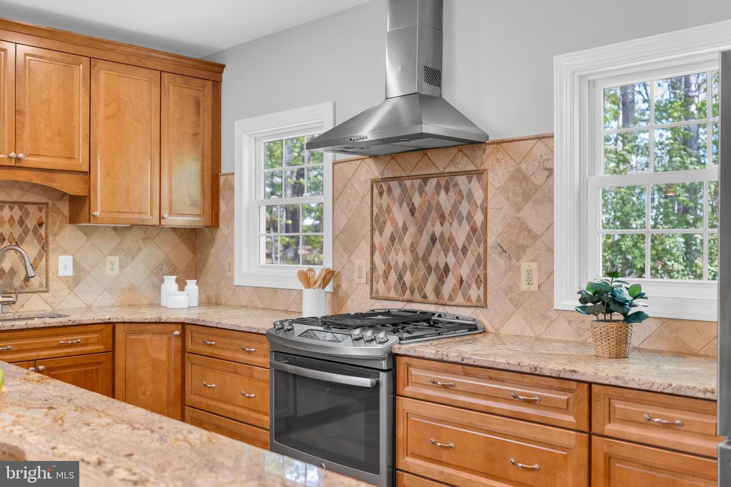 9701 Tree Hollow Court photo 20