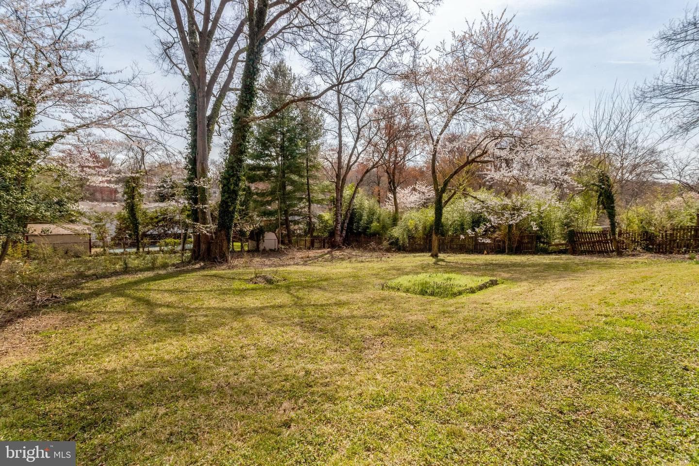 8501 Richmond Avenue photo 31