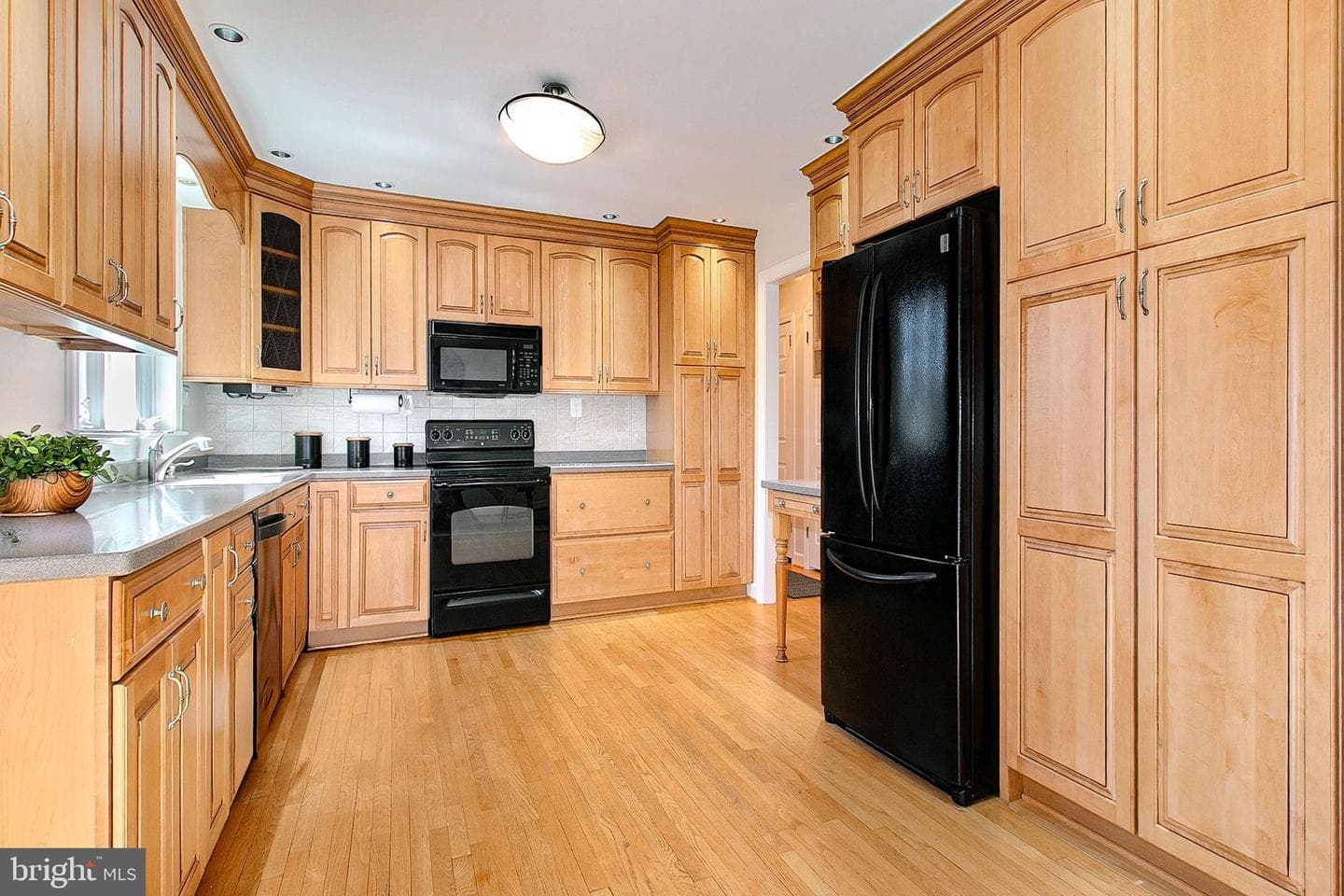 12415 Caisson Road photo 18