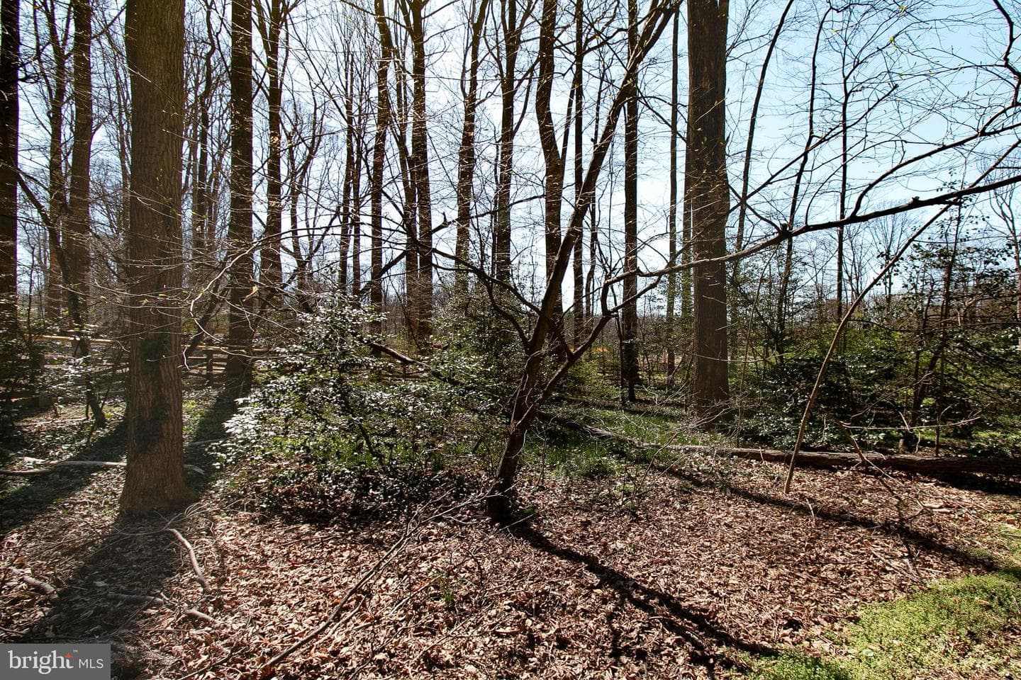 12415 Caisson Road photo 35