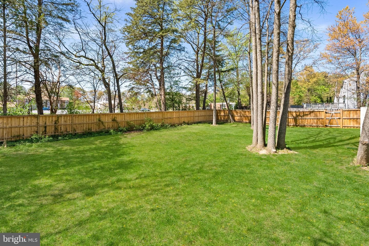 6214 Franconia Forest Lane photo 59