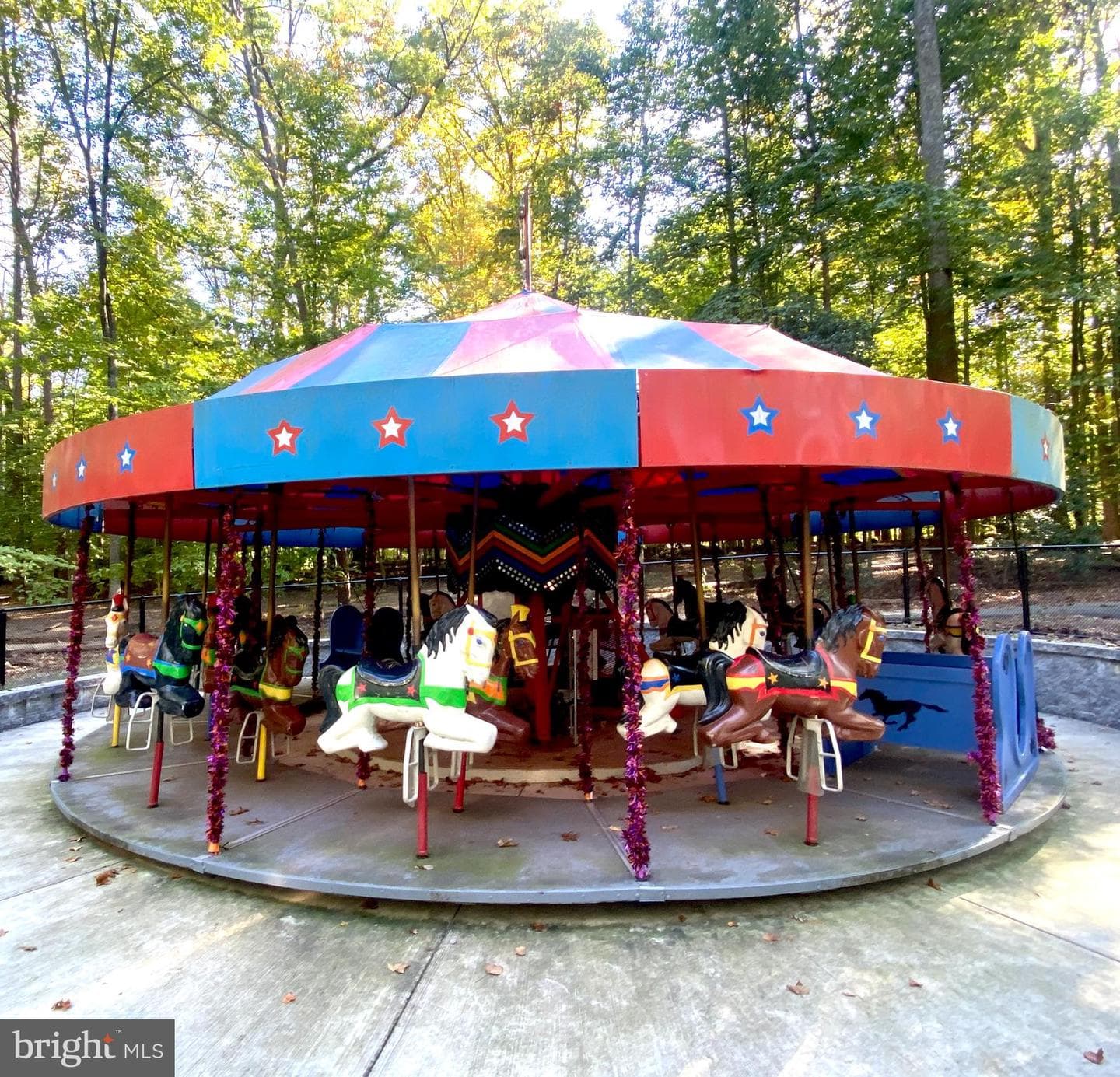 7013 Galgate Drive photo 47