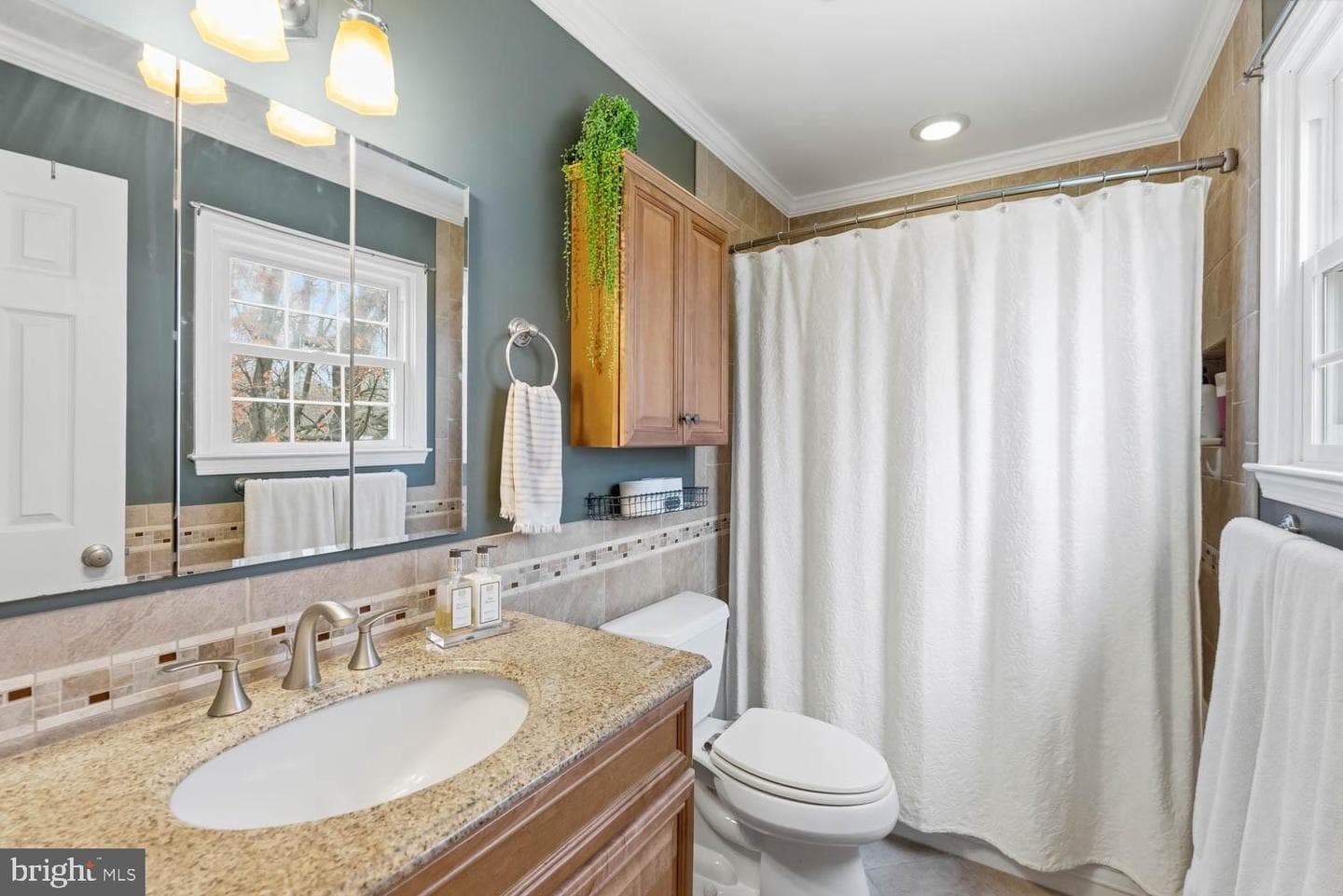 9822 Wolcott Drive photo 45