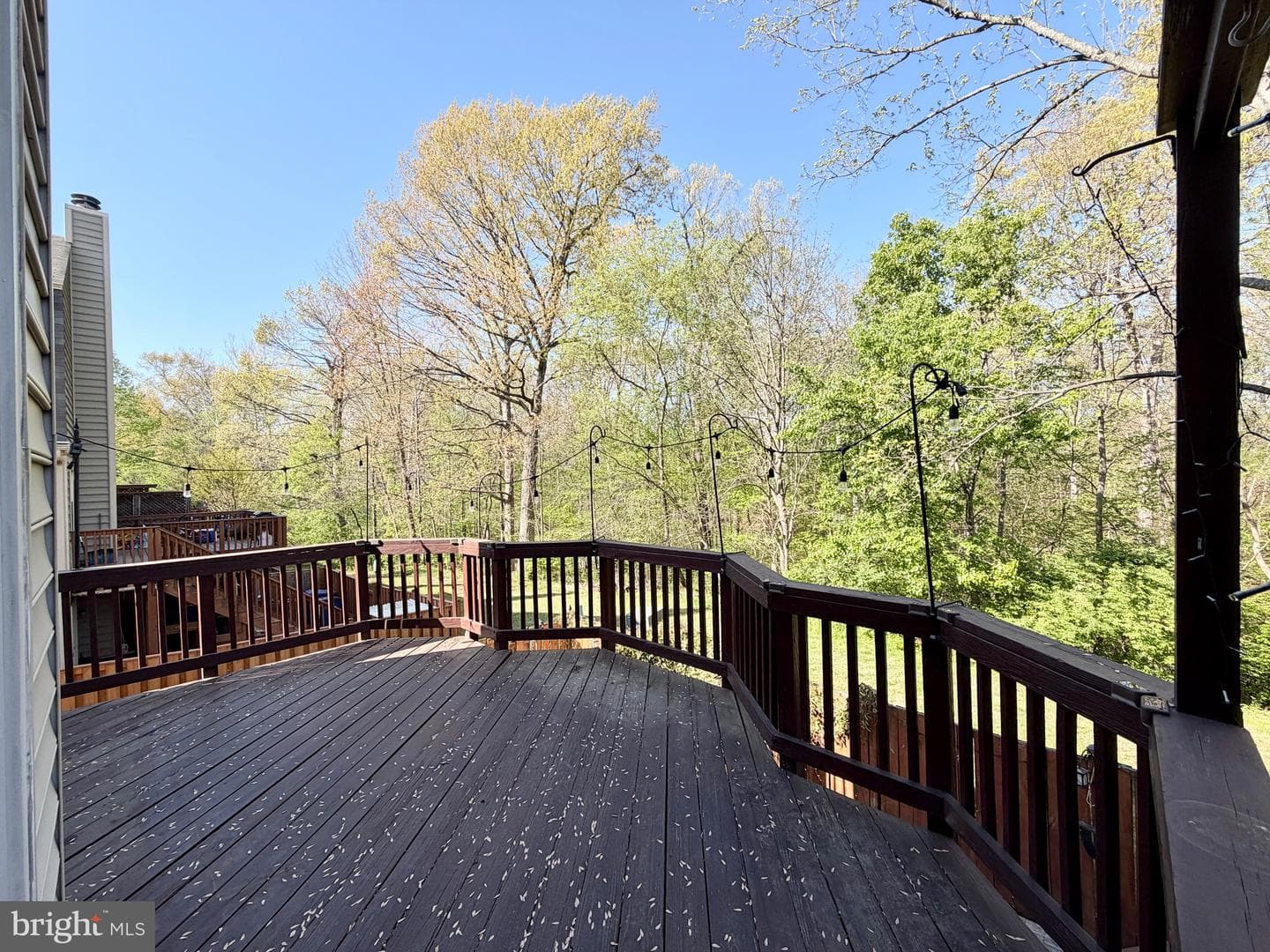 14546 Creek Branch Court photo 23