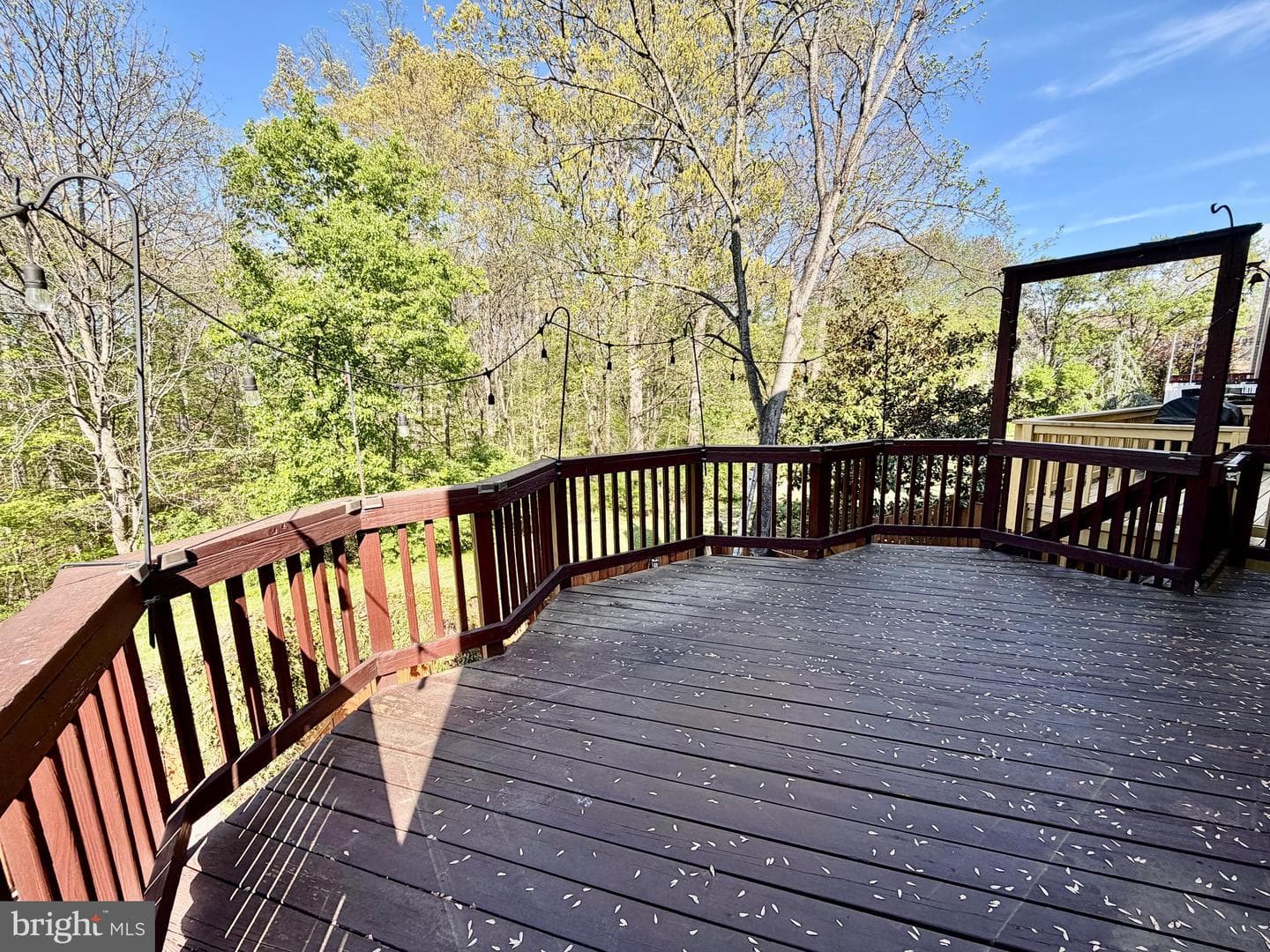 14546 Creek Branch Court photo 24