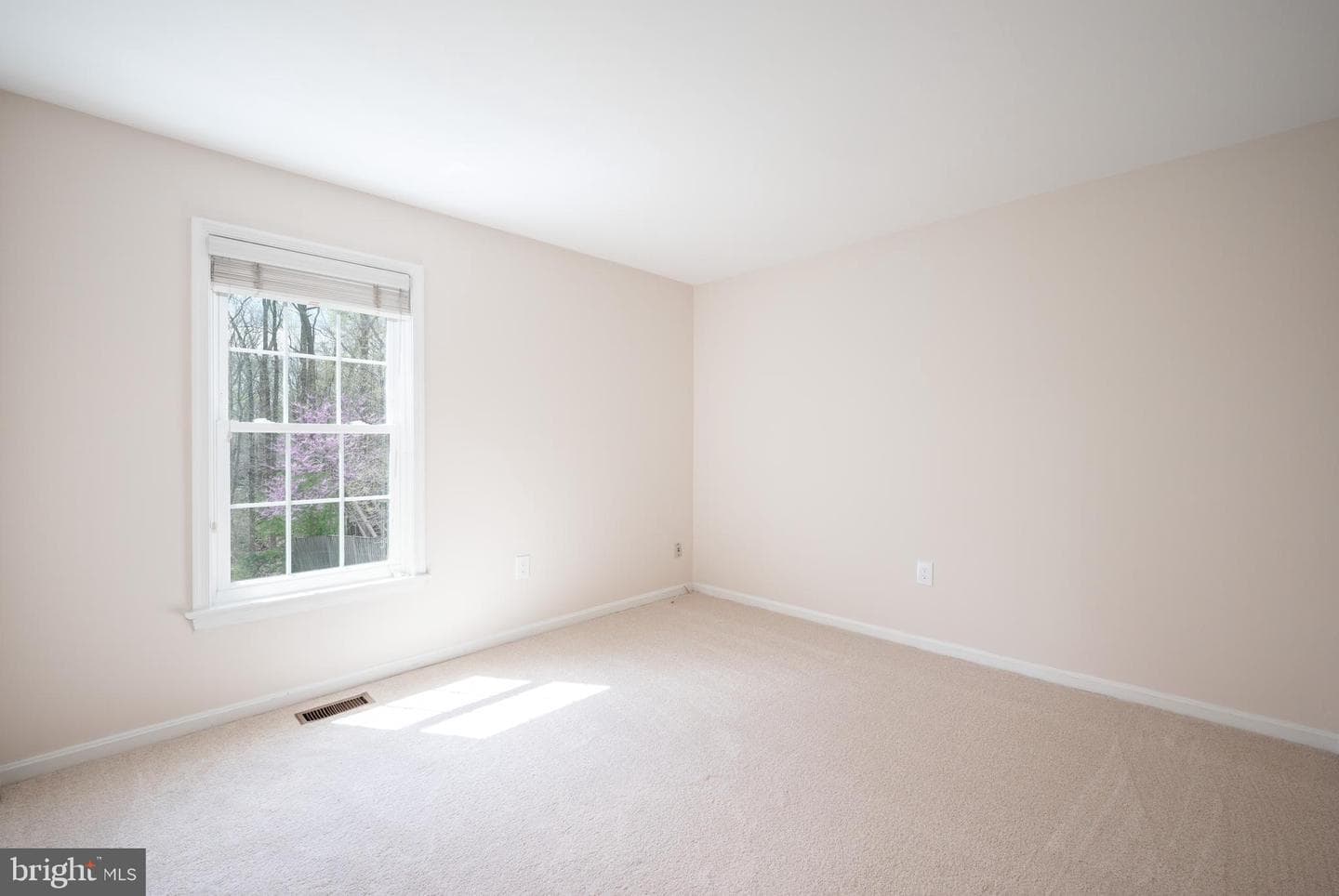 9433 William Kirk Lane photo 37