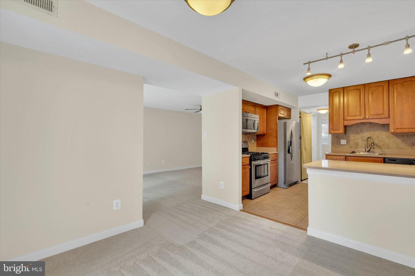 2044 Royal Fern Court #1a photo 14