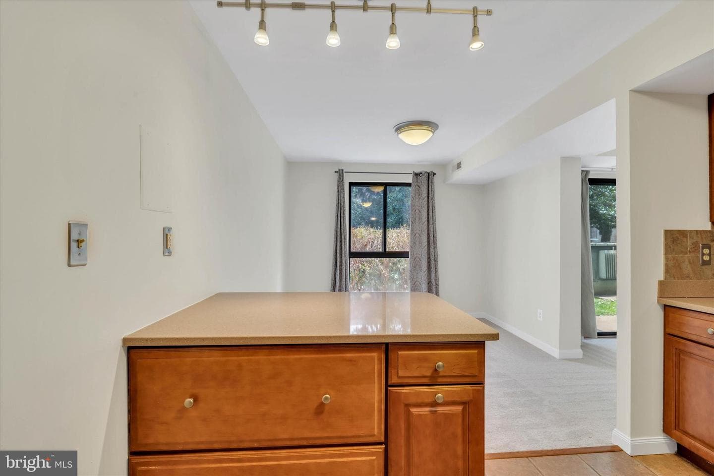 2044 Royal Fern Court #1a photo 16