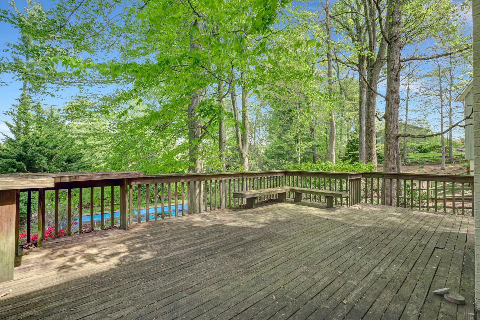 10910 Miller Road photo 51