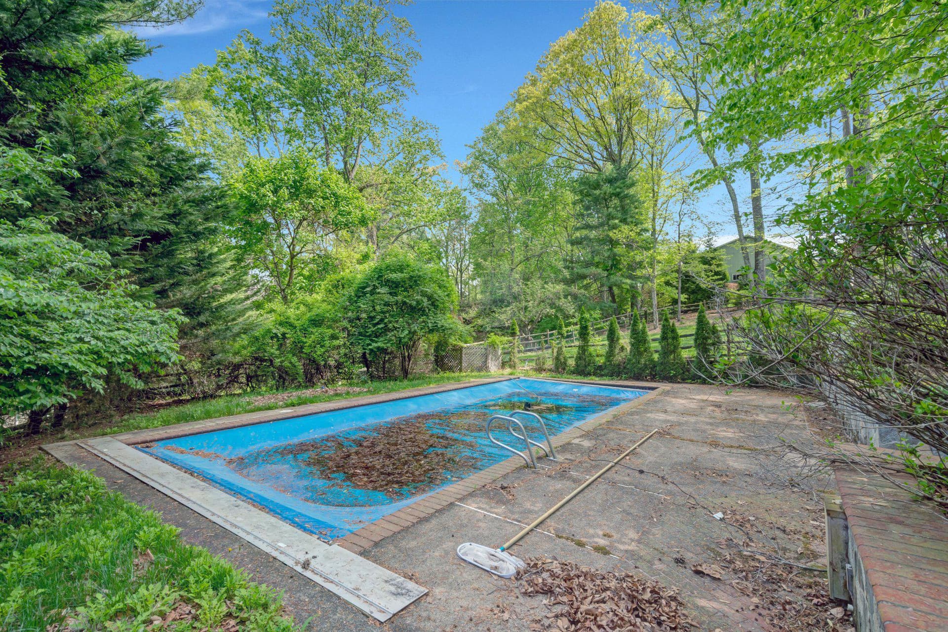 10910 Miller Road photo 53