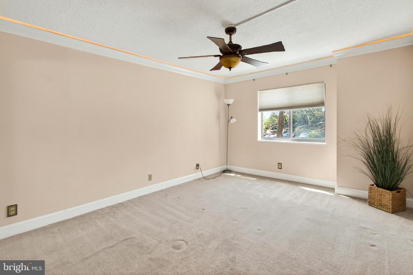 5903 Mount Eagle Drive #203 photo 26