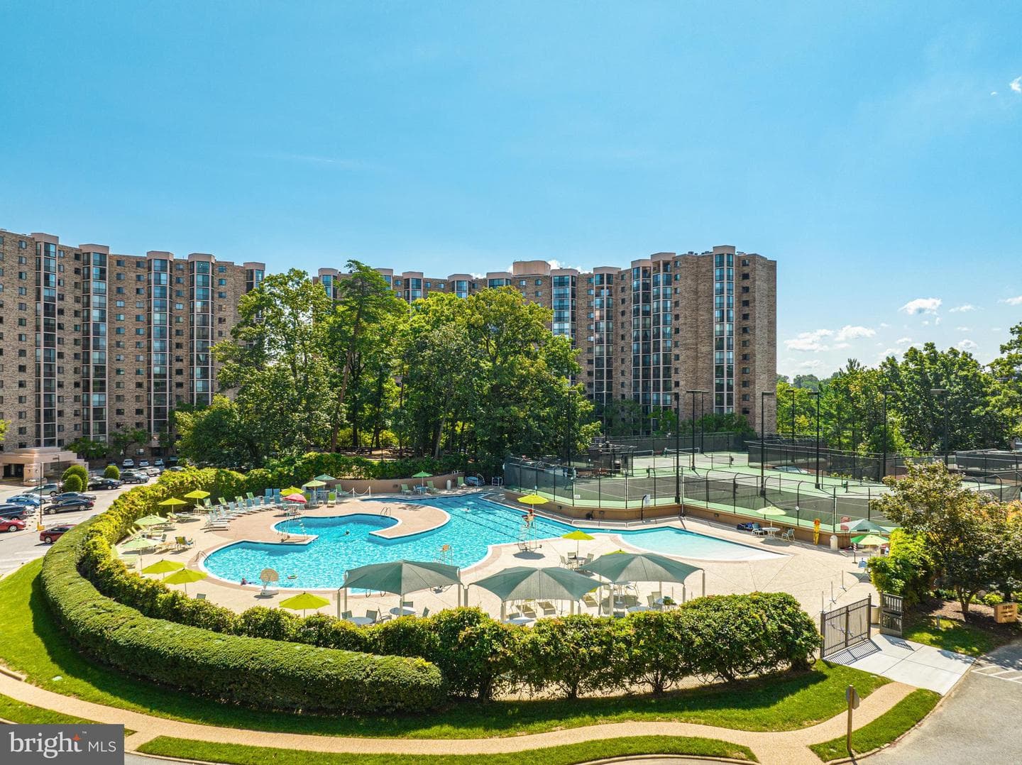 5903 Mount Eagle Drive #203 photo 39
