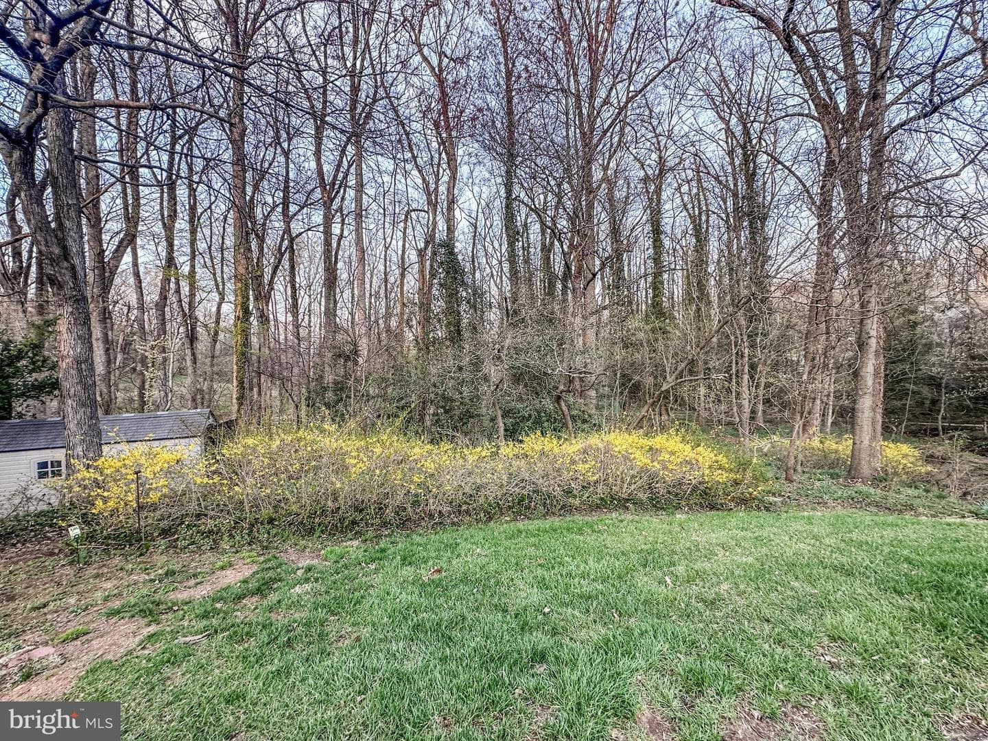 1558 Forest Villa Lane photo 48