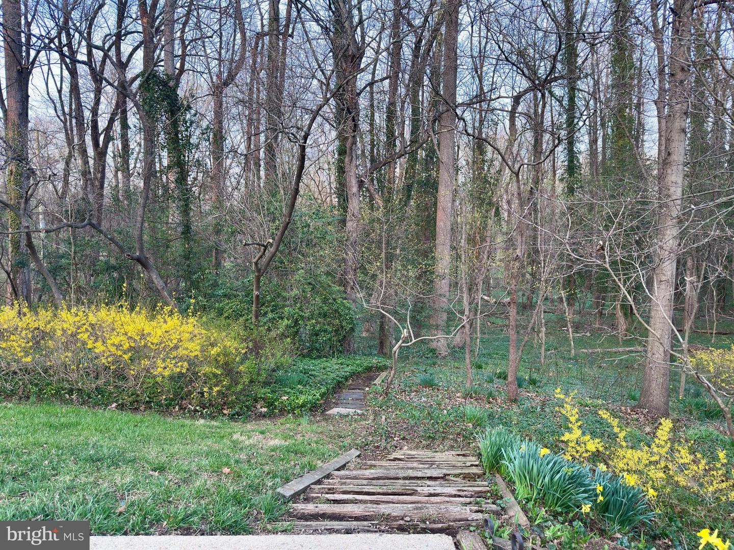 1558 Forest Villa Lane photo 49