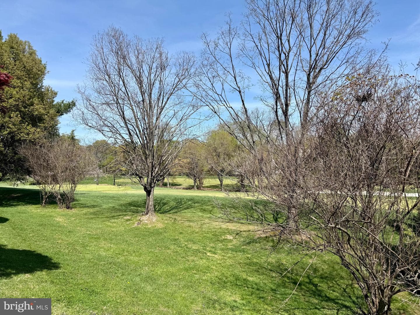 6544 River Tweed Lane photo 41