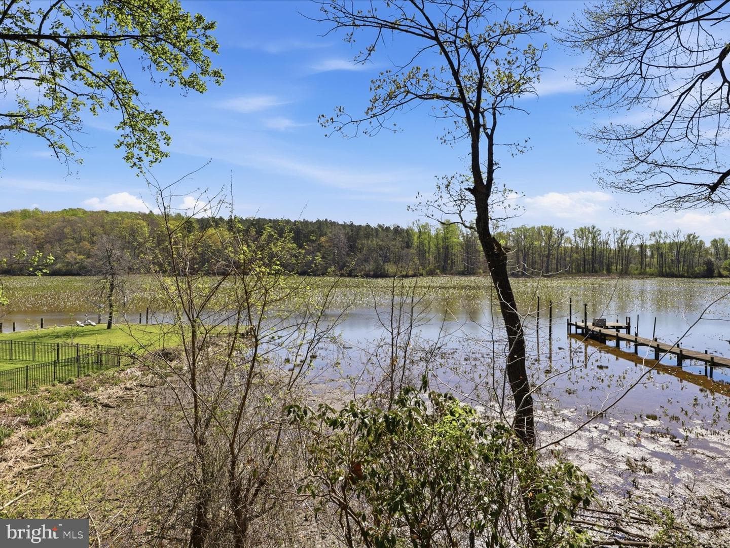10801 Greene Drive photo 61