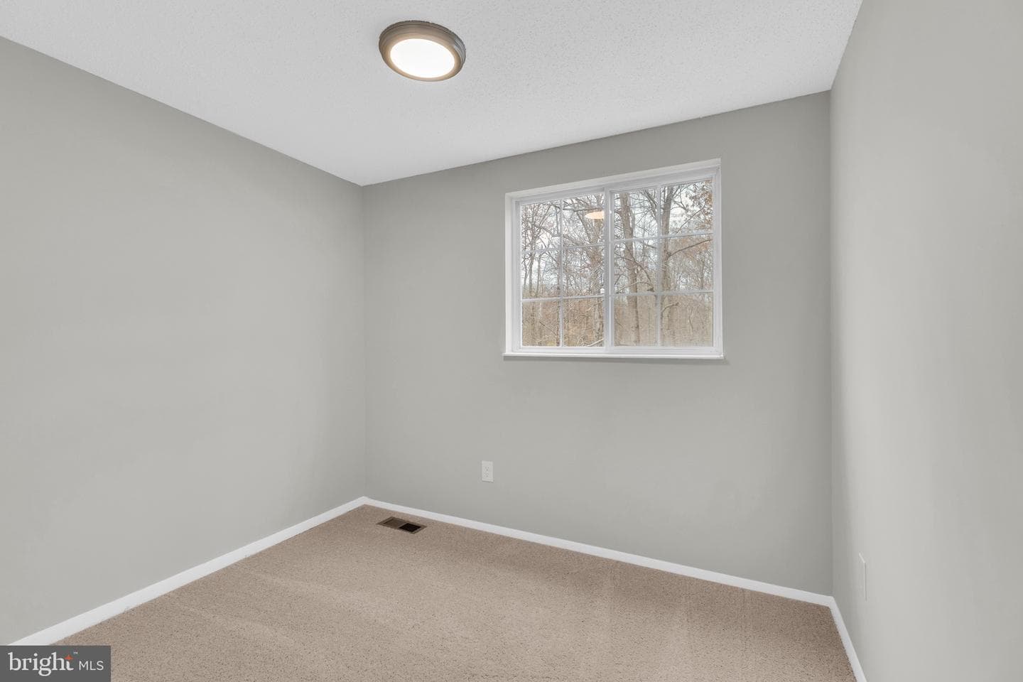 8677 Hickory Ridge Court photo 19