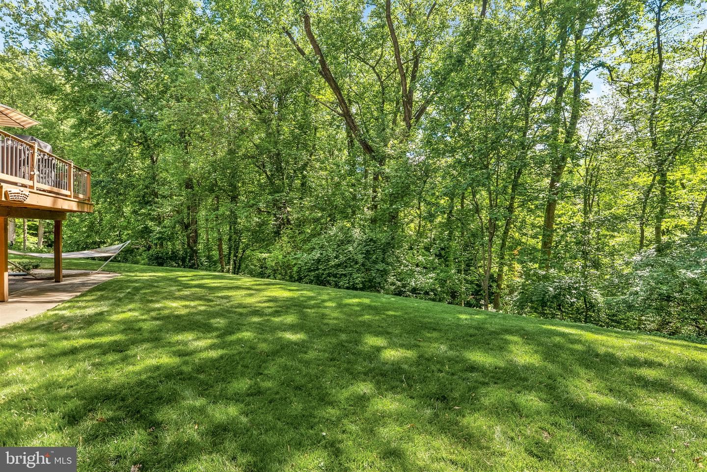7109 Wayne Drive photo 52