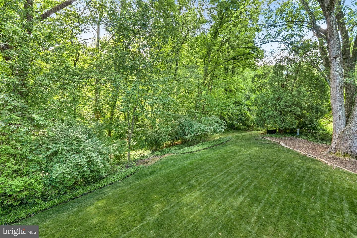 7109 Wayne Drive photo 53
