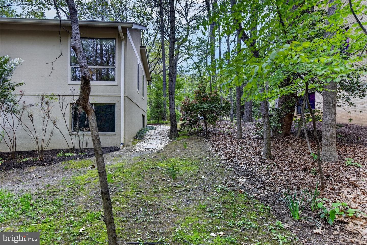 2105 Lirio Court photo 64