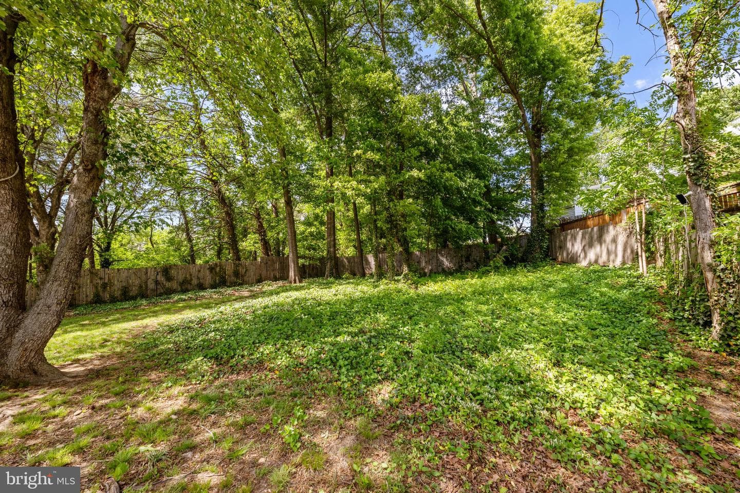 2908 Farmington Drive photo 27