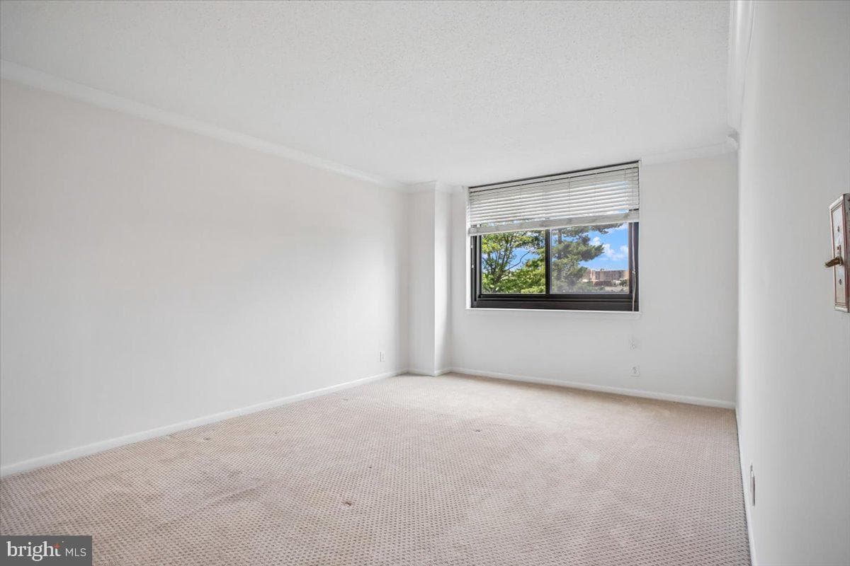 5501 Seminary Road #106s photo 32