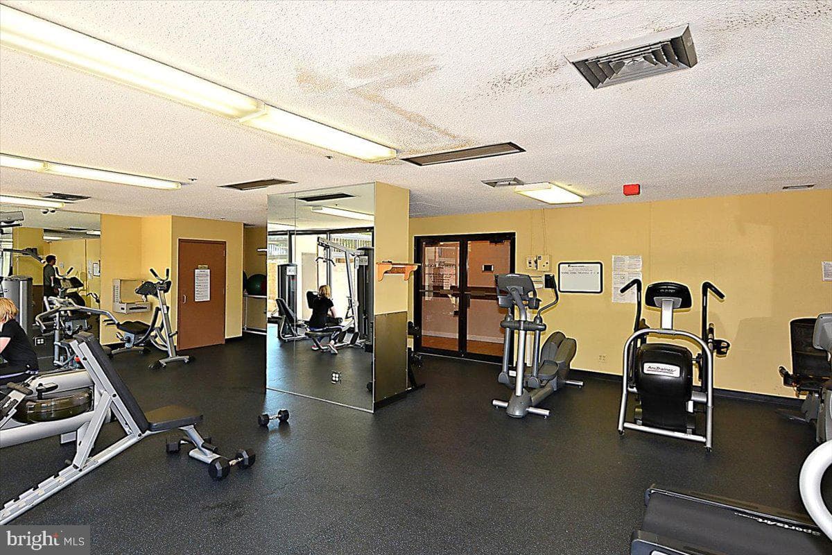5501 Seminary Road #106s photo 45