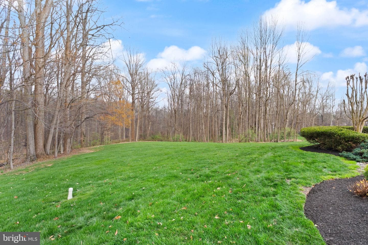12300 Castle Branch Road photo 76