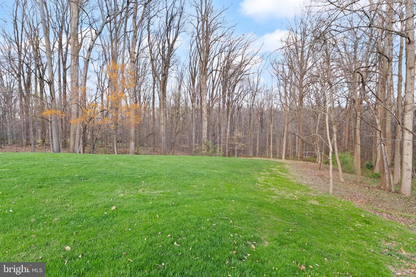12300 Castle Branch Road photo 77